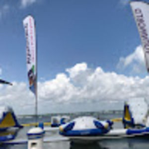 Meet your Posher, Bing